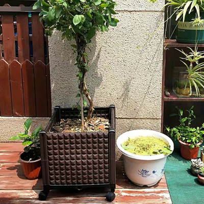Εκκενώσιμη κυλιεισμένη Patio καλλιεργητών απόδειξη εντόμων κιβωτίων καλλιεργητών ορθογωνίων κιβωτίων πλαστική